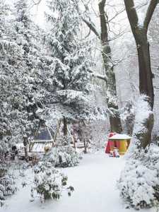 Winter on Venusberg, Bonn